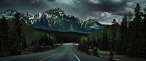 Moody Mountain Road Through Pine Forest Under Stormy Skies HD wallpaper