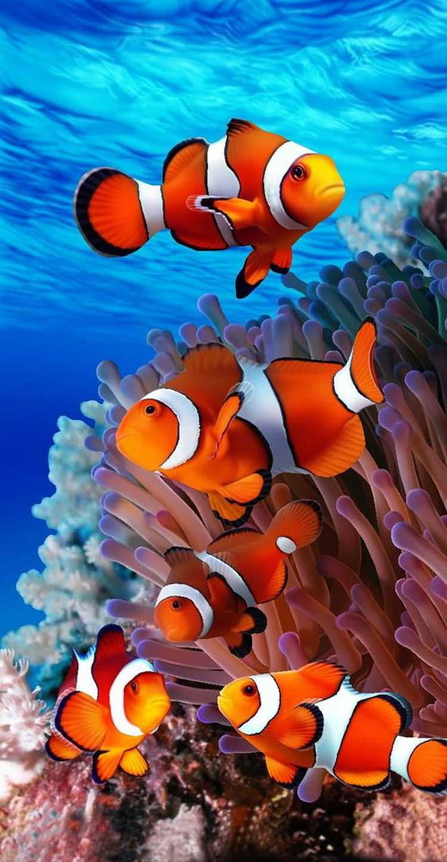 Vibrant School of Clownfish Swimming Among Purple Sea Anemones in Blue Ocean Water HD phone wallpaper