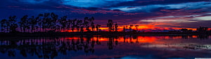 Vivid Sunset Reflections on a Calm Lake with Silhouetted Trees HD wallpaper