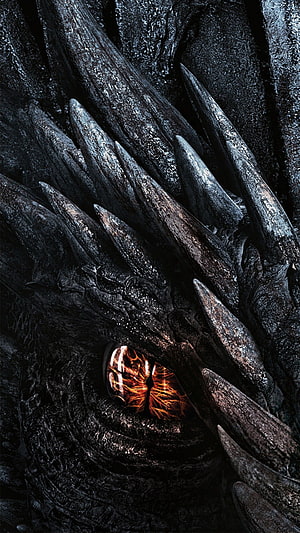 Close-Up of a Dark Dragon Eye with Glowing Orange Iris and Spiky Scales HD phone wallpaper