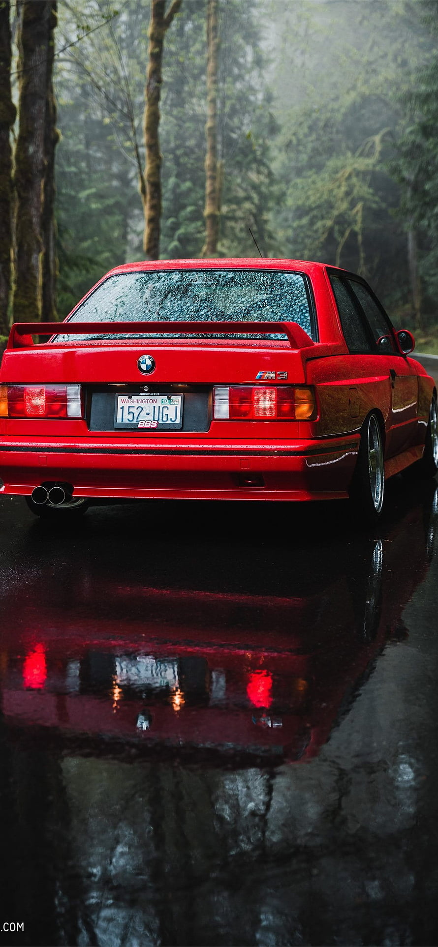 Red BMW E30 M3 Rear View on Wet Forest Road with Reflection HD phone wallpaper