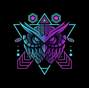 Neon Geometric Owl Mascot with Cyan and Magenta Vector Design HD wallpaper