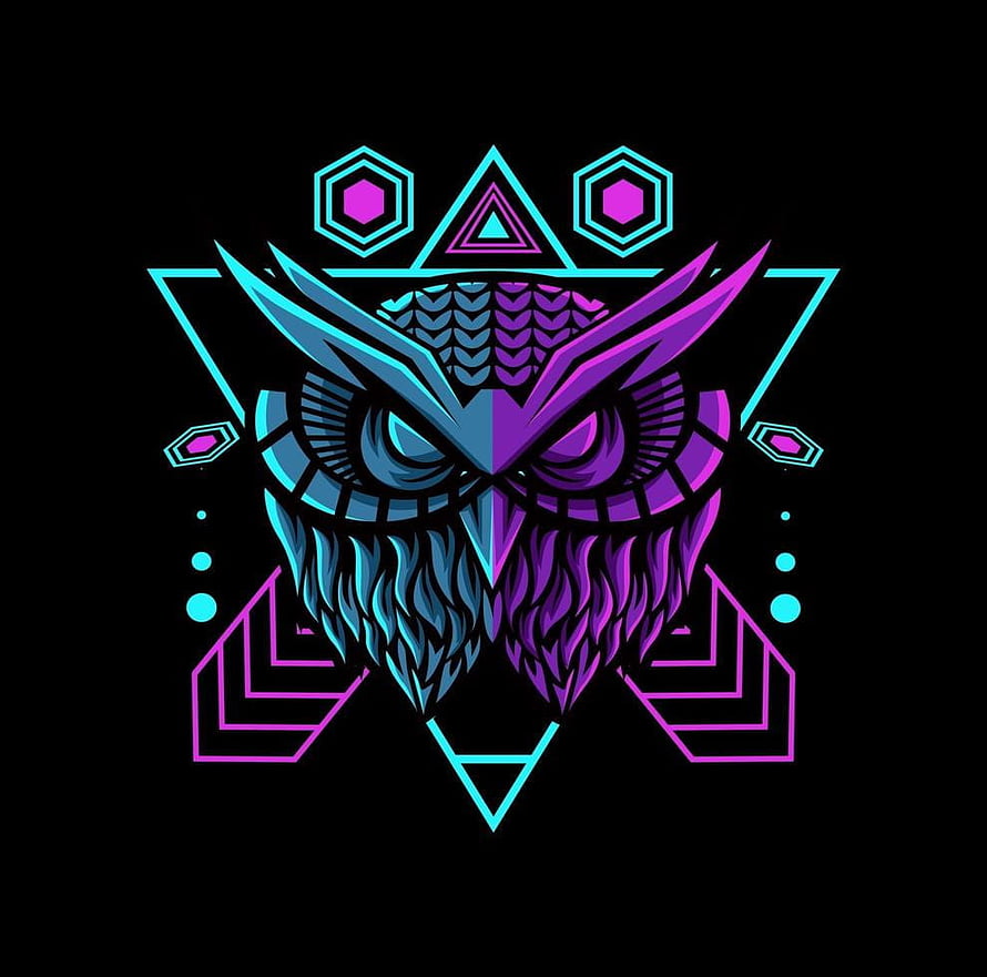 Neon Geometric Owl Mascot with Cyan and Magenta Vector Design HD wallpaper