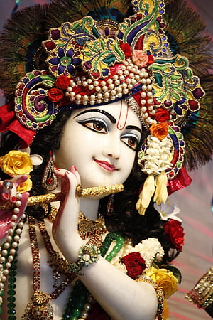 Sri Krishna Murti Adorned With Peacock Crown, Fresh Flowers, And Gold Jewelry HD phone wallpaper