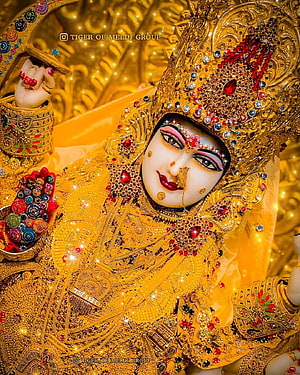 Meldi Maa Malataj Divine Idol Adorned in Gold Jewelry and Red Gemstones HD phone wallpaper