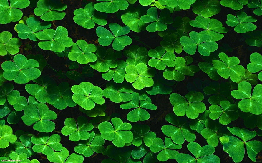 Vibrant Green Four Leaf Clover Pattern on Dark Background HD wallpaper