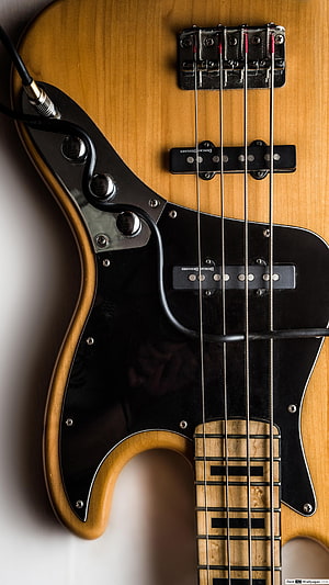 Close-Up of Natural Finish Electric Bass Guitar with Black Pickguard and Strings HD phone wallpaper
