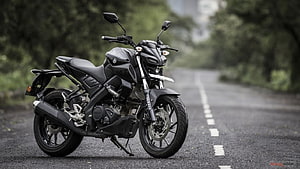 Yamaha MT-15 Black Motorcycle Parked on a Scenic Forest Road HD wallpaper