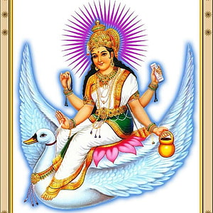 Maa Brahmani Deity Riding White Swan with Lotus and Golden Pot HD phone wallpaper