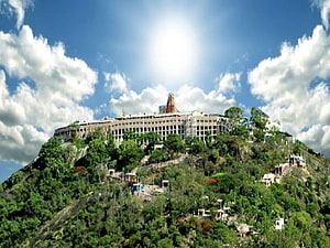Palani Murugan Temple on a Lush Green Hilltop Under a Bright Blue Sky HD wallpaper