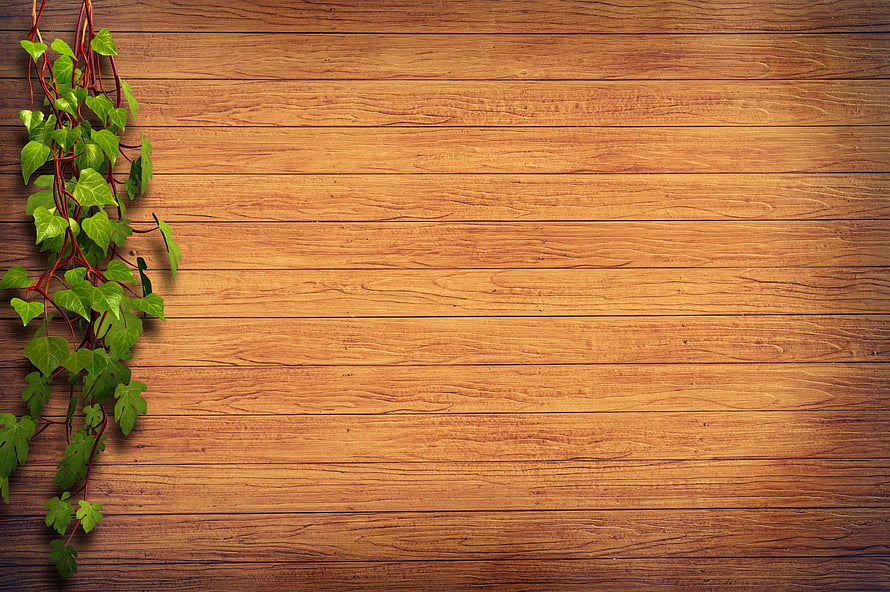 Rustic wooden plank background with green ivy leaves cascading down the left side HD wallpaper