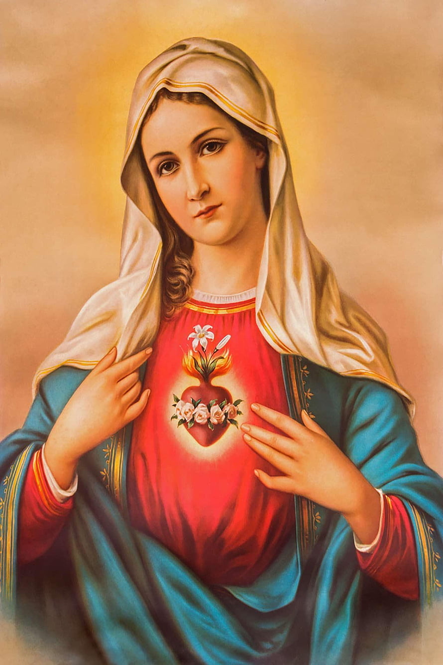 Immaculate Heart of Mary Religious Painting with Sacred Heart and White Veil HD phone wallpaper
