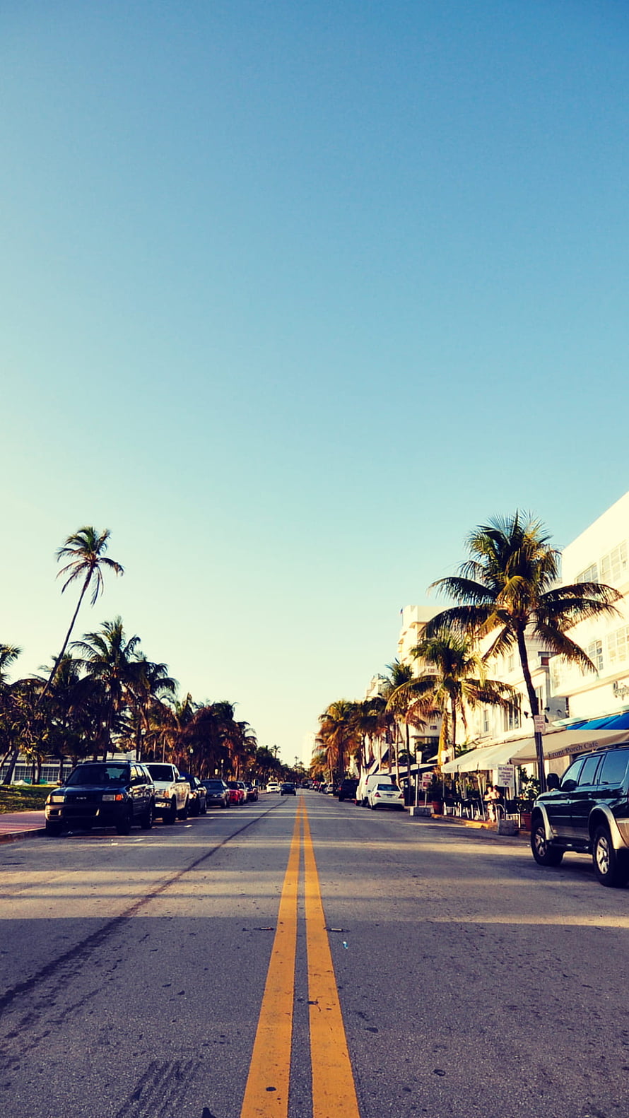 Sunlit Miami South Beach street lined with palm trees and parked cars under a clear blue sky HD phone wallpaper