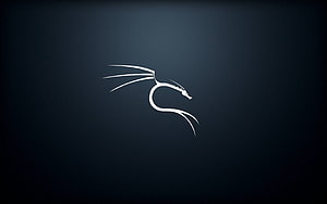 Minimalist White Dragon Silhouette on Dark Blue Gradient Background HD wallpaper