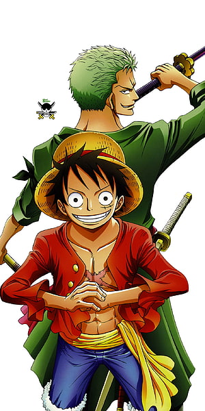 One Piece Luffy and Zoro Anime Character Illustration HD phone wallpaper
