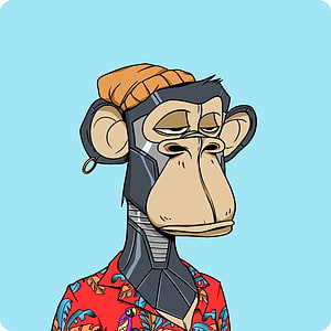 Bored Ape Yacht Club NFT Character Wearing Hawaiian Shirt and Beanie HD phone wallpaper