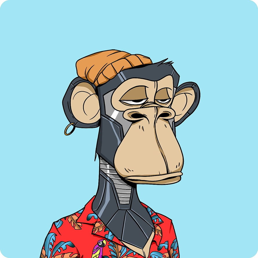 Bored Ape Yacht Club NFT Character Wearing Hawaiian Shirt and Beanie HD phone wallpaper