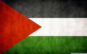 Palestine National Flag with Distressed Grunge Texture and Bold Color Bands HD wallpaper