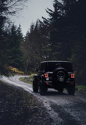 Black Jeep Wrangler on a Wet Forest Road with Off-Road Tires and Rear Spare HD phone wallpaper