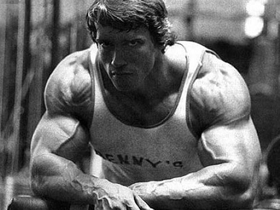 Arnold Schwarzenegger Classic Black and White Bodybuilding Portrait HD wallpaper