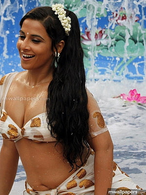 Vidya Balan in White and Gold Saree with Floral Hairpiece HD phone wallpaper