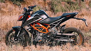 KTM Duke 250 motorcycle with orange frame parked in dry grass field HD wallpaper