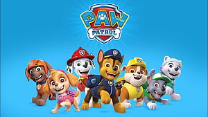 Paw Patrol Team of Rescue Puppies in Colorful Uniforms on Bright Blue Background HD wallpaper
