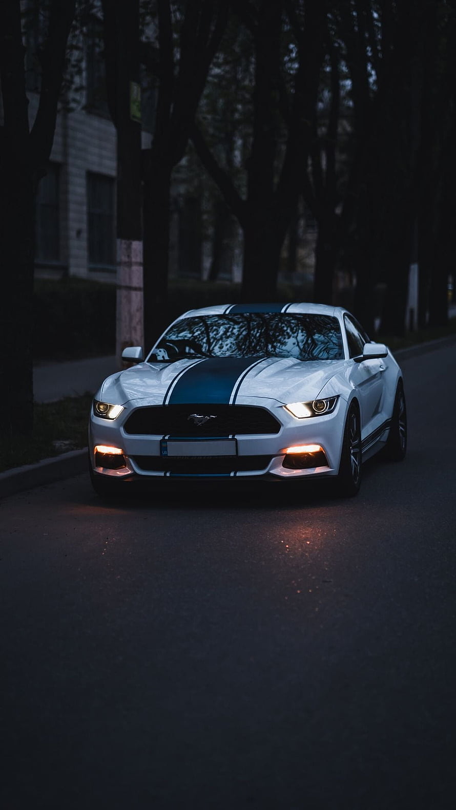 White Ford Mustang GT with Black Racing Strips on a Dark Tree-Lined Street at Night HD phone wallpaper
