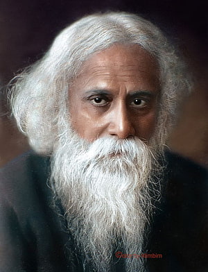 Rabindranath Tagore Portrait with Long White Beard and Hair HD phone wallpaper