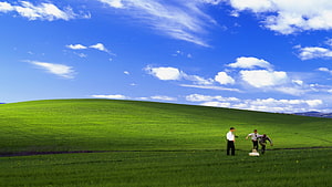Windows XP Bliss Desktop Scene with Office Space Characters in Green Meadow HD wallpaper