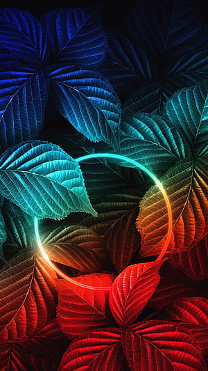 Neon Glow Ring Over Vibrant Multicolored Leaves Nature Abstract HD phone wallpaper
