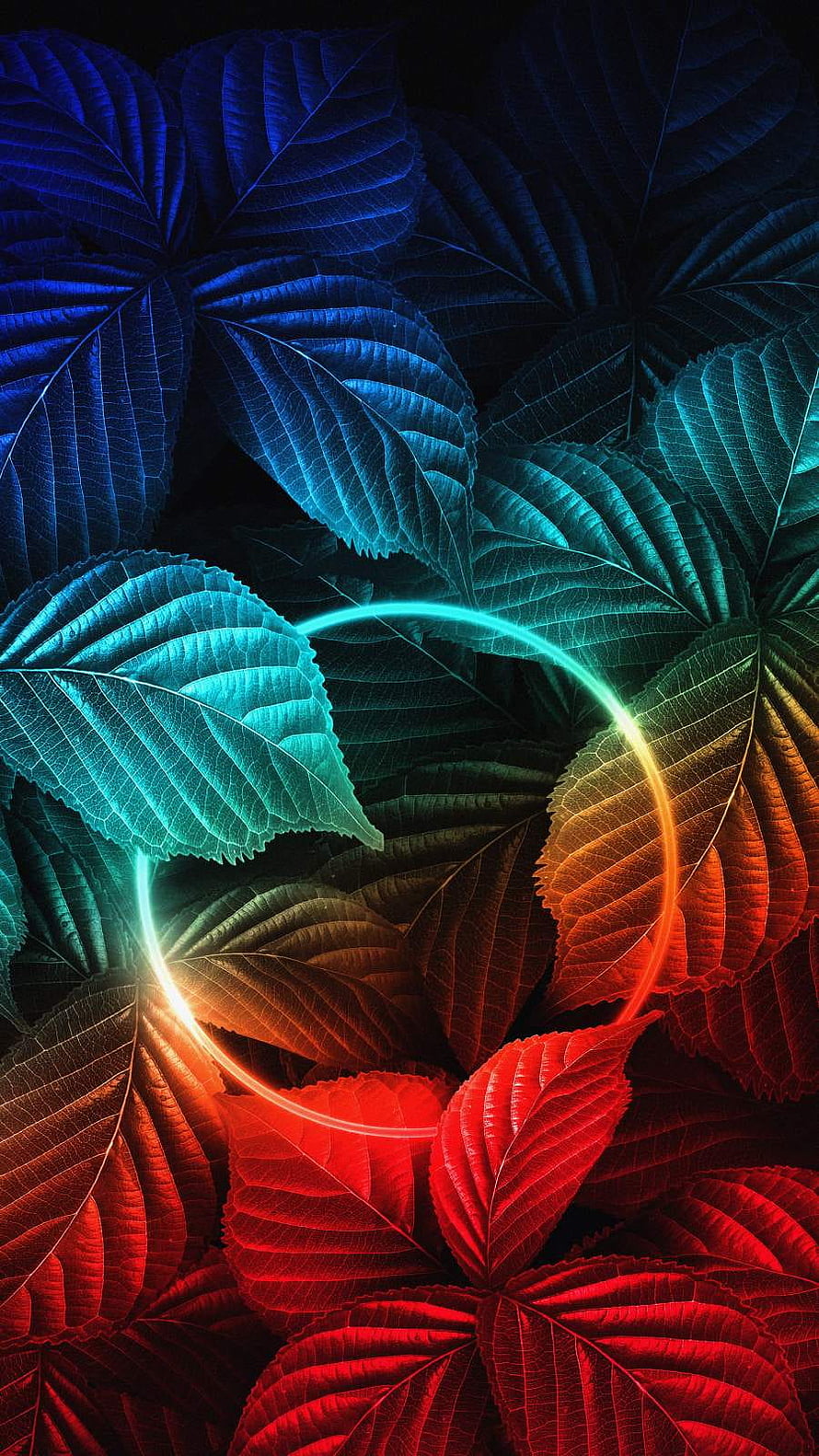 Neon Glow Ring Over Vibrant Multicolored Leaves Nature Abstract HD phone wallpaper