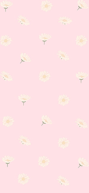 Pastel Pink Daisy Floral Pattern Wallpaper HD phone wallpaper