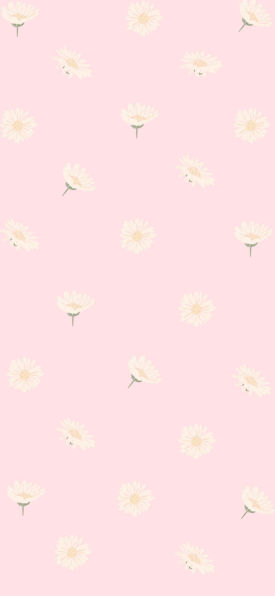 Pastel Pink Daisy Floral Pattern Wallpaper HD phone wallpaper