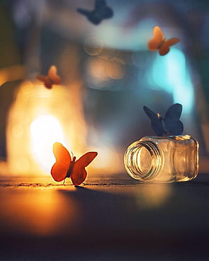 Glowing Orange Butterflies and Glass Jar in Warm Bokeh Light HD phone wallpaper