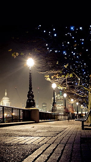 London Embankment at Night with St Paul's Cathedral and Festive Tree Lights HD phone wallpaper