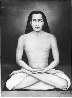 Mahavatar Babaji Portrait in Meditation Pose HD phone wallpaper