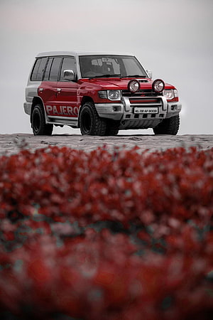 Red Mitsubishi Pajero SUV parked on a sandy beach with vibrant red foliage in the foreground HD phone wallpaper