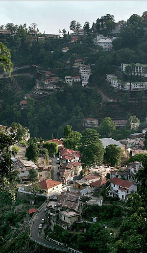 Mussoorie Hill Station View with Winding Roads and Lush Green Forests HD phone wallpaper
