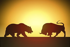 Bull and Bear Silhouettes Confronting at Golden Sunset HD wallpaper