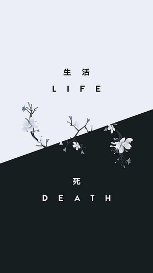 Minimalist Japanese Cherry Blossom Design with Life and Death Text on Black and White Background HD phone wallpaper