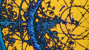 Abstract Fractal Art with Intricate Blue and Gold Geometric Patterns HD wallpaper