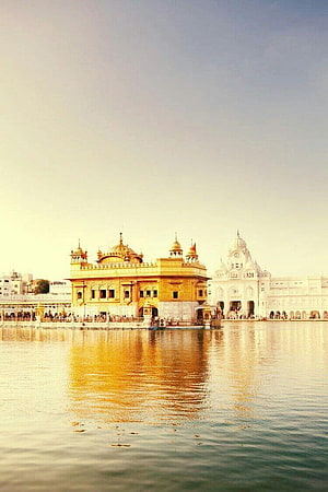 Golden Temple Amritsar Reflection in the Holy Sarovar at Golden Hour HD phone wallpaper