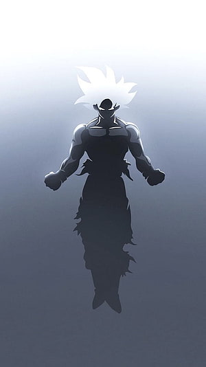 Dragon Ball Z Super Saiyan Silhouette with White Hair and Tattered Outfit HD phone wallpaper
