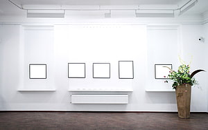 Minimalist White Gallery Interior With Framed Art and Floral Arrangement HD wallpaper