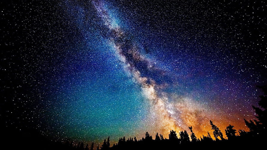 Milky Way Galaxy Arching Over Silhouetted Pine Forest Under a Starry Night Sky HD wallpaper