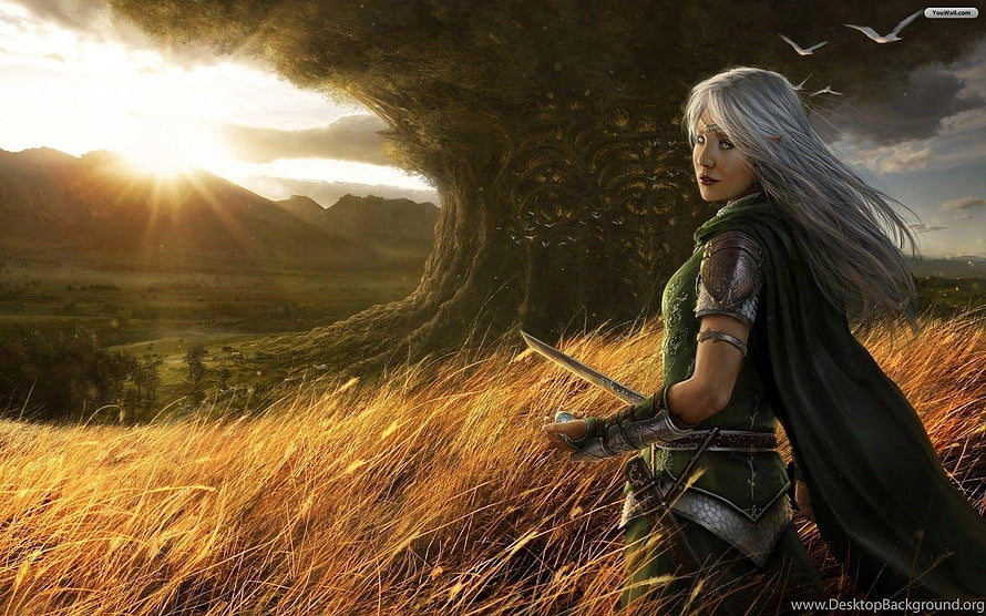 Silver-haired elf warrior in green armor standing in golden grass at sunset HD wallpaper