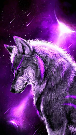 Majestic Wolf Portrait Against a Vibrant Purple Cosmic Nebula Background HD phone wallpaper