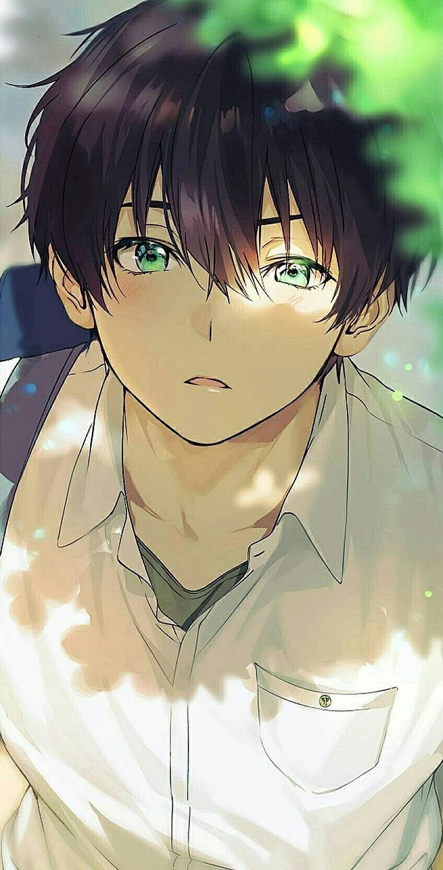 Anime Boy With Green Eyes In White Shirt Under Dappled Sunlight HD phone wallpaper