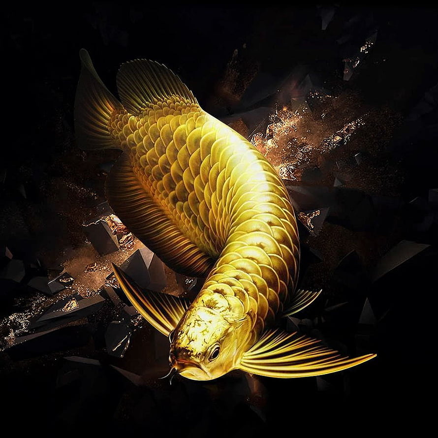 Golden Arowana Fish Swimming Through Dark Shattered Rock and Glowing Particles HD phone wallpaper